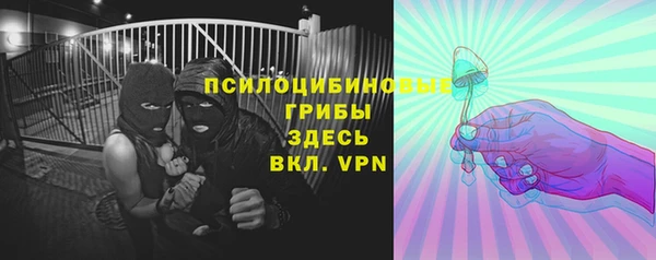 прущие грибы Ступино