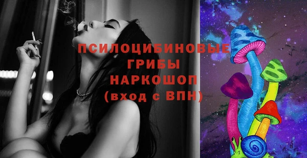 прущие грибы Ступино
